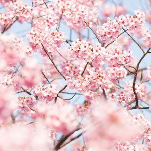 Meet your Posher, Catherina